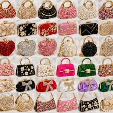 Brand new ladies purse